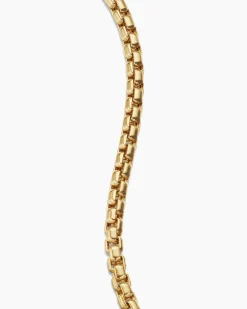 Box Chain Bracelet 18K Yellow Gold, 5mm