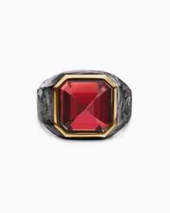 Hexagonal Signet Ring 18K Yellow Gold with Forged Carbon and Garnet, 17.7mm