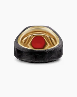 Hexagonal Signet Ring 18K Yellow Gold with Forged Carbon and Garnet, 17.7mm