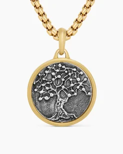 Life and Death Duality Amulet Sterling Silver with 18K Yellow Gold, 24mm