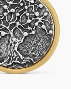 Life and Death Duality Amulet Sterling Silver with 18K Yellow Gold, 24mm