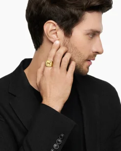 Petrvs® Horse Signet Ring 18K Yellow Gold, 18.3mm