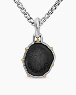 Pisces Amulet Sterling Silver with 18K Yellow Gold, 23mm