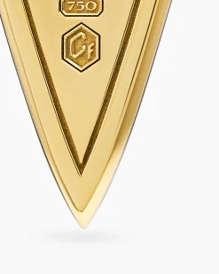 Spearpoint Amulet 18K Yellow Gold with Forged Carbon, 27mm